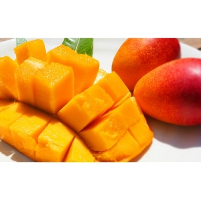  訳あり完熟マンゴー Lサイズ以上5個～7個(No.3042-5 )