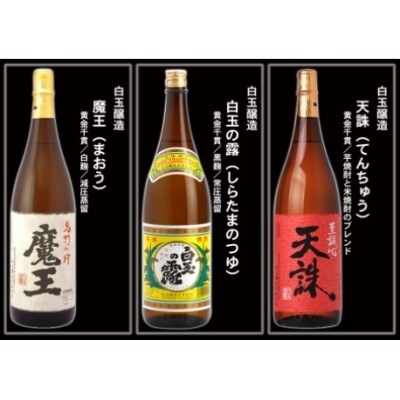  大隅蔵めぐり　飲み比べ一升瓶10本セット(No.10004-1)