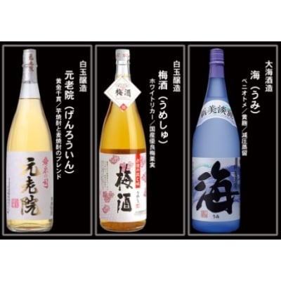  大隅蔵めぐり　飲み比べ一升瓶10本セット(No.10004-1)