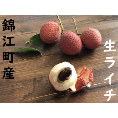 愛果ライチ〈島津ライチ〉No.1345-2 