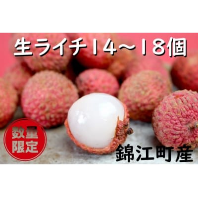 愛果ライチ〈島津ライチ〉No.1345-2 
