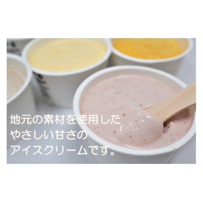 【8種食べ比べ】錦江町のご当地アイス 90ml×8個 お茶・紅はるか・マンゴーほか 1018-2