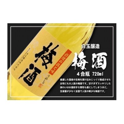 鹿児島黒牛サーロインステーキ&魔王&梅酒　Aセット 4037-2)