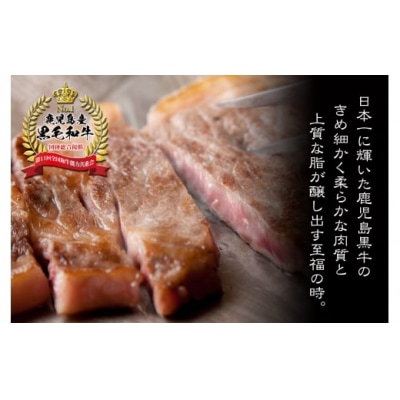 【3ヶ月定期便】鹿児島黒牛サーロインステーキ&魔王&梅酒　Bセット(TK-133-1)