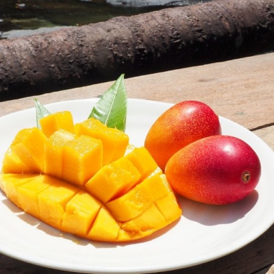  完熟マンゴー(L～2L×2個)No.1195-4