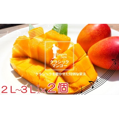 完熟マンゴー(2L～3L×2個)No.1186-4