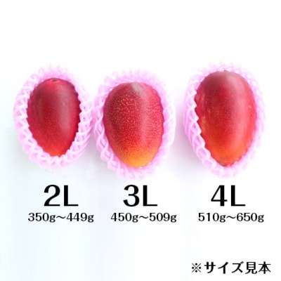 完熟マンゴー(2L～3L×2個)No.1186-4