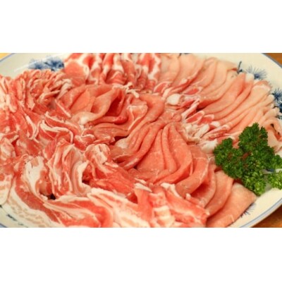 かごしま黒豚(ロース・バラ肉・切り落とし)【鉄板焼き・生姜焼き・炒め物】No.2033-3