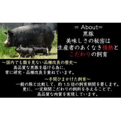 【かごしま黒豚】トンカツ用<上ロース> (No.1132-4)