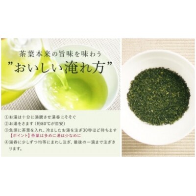 緑茶ティーバッグ【ノウフクJAS認証茶】(5g×10p) No.054-1