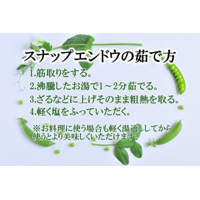 《先行受付》期間限定!! 農家直送～新鮮スナップエンドウたっぷり2kg (No.1395-1)