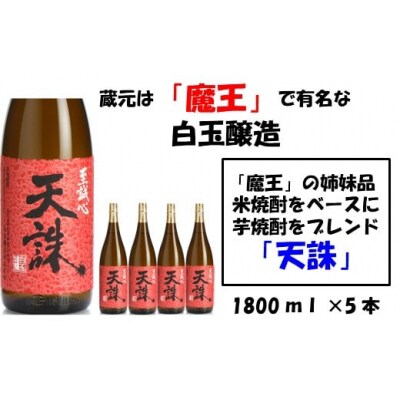 【魔王の姉妹品】白玉醸造の「天誅」5本セット 4020-2