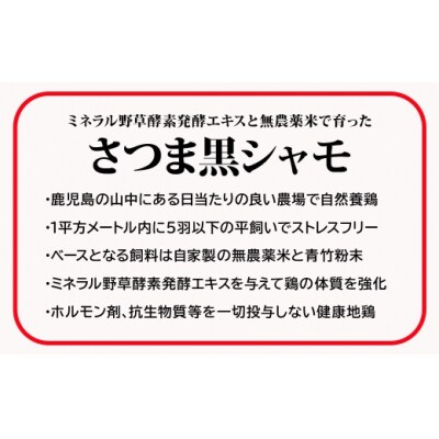 【3ヶ月定期便】さつま黒シャモたたき(200g入)×2パック(TK-140-1)