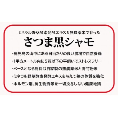 【6ヶ月定期便】さつま黒シャモたたき2パック&魔王セット(TK-145-1)