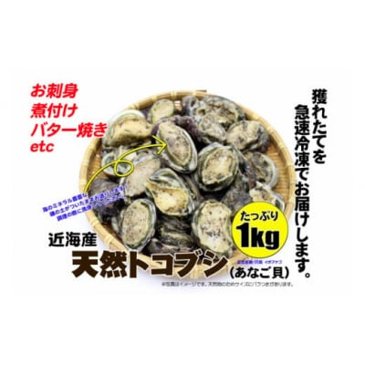 コリコリ食感がたまらない!お刺身用天然トコブシ(穴貝=あなご貝)急速冷凍1㎏(No.2064-1)