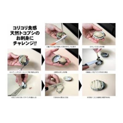 コリコリ食感がたまらない!お刺身用天然トコブシ(穴貝=あなご貝)急速冷凍1㎏(No.2064-1)