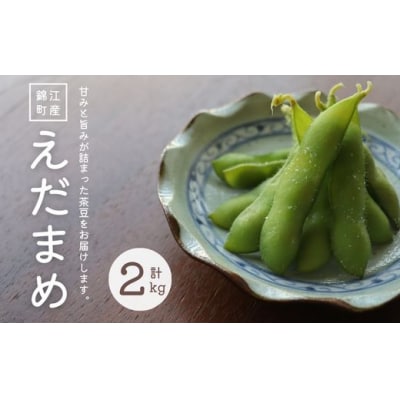 【先行受付】錦江町産枝豆〈茶豆〉2kg(No.1417-1)