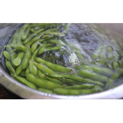 【先行受付】錦江町産枝豆〈茶豆〉2kg(No.1417-1)