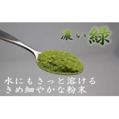 ☆夏季限定☆錦江町の粉末緑茶セット〈フィルターインボトル付き〉(No.1299-1)