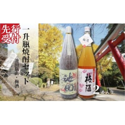 ☆先行受付☆池田旗山・梅酒(一升瓶) 2本セット(No.1425-1)