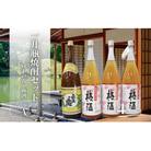 白玉の露・梅酒(一升瓶)4本セットA　(No.2120)