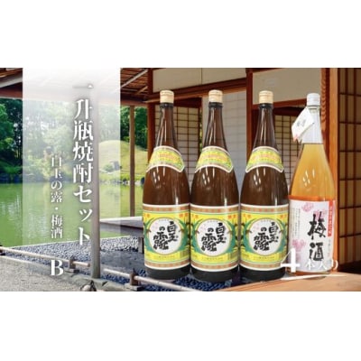 白玉の露・梅酒(一升瓶)4本セットB (No.2121-1)