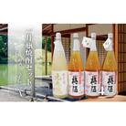 元老院・梅酒(一升瓶)4本セットA (No.3081)