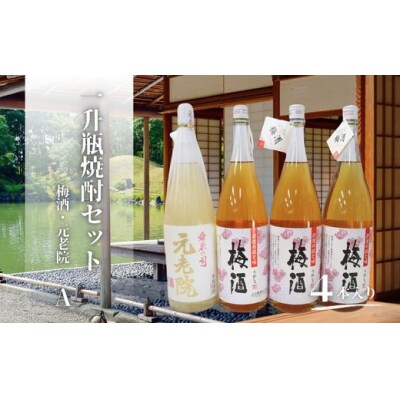 元老院・梅酒(一升瓶)4本セットA (No.3081-1)