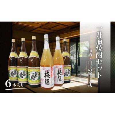 白玉の露・梅酒(一升瓶)6本セットA (No.4079-1)