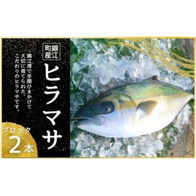 ふる里館 ヒラマサブロックセット　1ケース(No.1394-1)