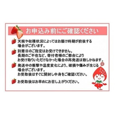 Noguchi Farm のおいしいイチゴ 約700g (No.1410-2)