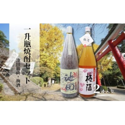 池田旗山・梅酒(一升瓶) 2本セット 1425-2