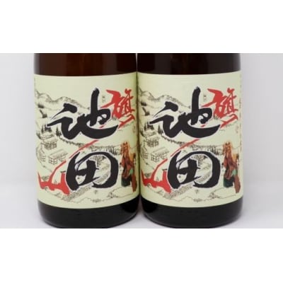 焼酎 【池田旗山】一升瓶×2本セット　No.1168-5　