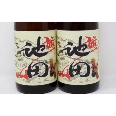 焼酎 【池田旗山】一升瓶×2本セット　No.1168-5　