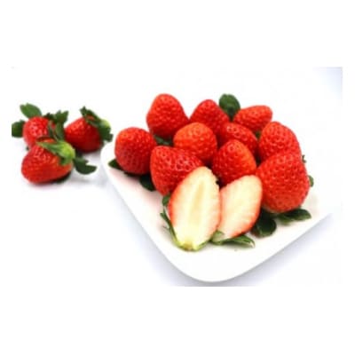 横原さんちのいちご 『 さがほのか 』 約1kg (No.1400-2)