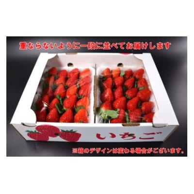 横原さんちのいちご 『 さがほのか 』 約1kg (No.1400-2)