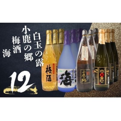 白玉の露・梅酒・小鹿の郷・海 (4合瓶)12本セット(No.5070 )