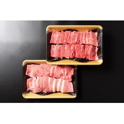 山形牛 焼肉セット 計800g