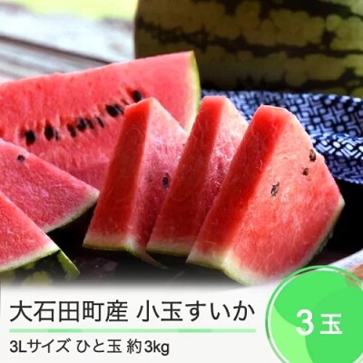 小玉すいか 2025年産 3L×3玉 ひとりじめ または ピノガール ja-sukoa3