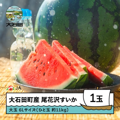 【先行予約】尾花沢すいか 2026年産 大玉 6L×1玉(約11kg) ja-suooa6