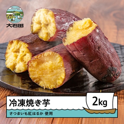 【1月上旬発送】新米 米 令和7年産 はえぬき 10kg 山形県大石田町産 特別栽培米 精米