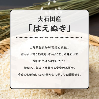 【11月下旬発送】新米 米 令和7年産 はえぬき 10kg 山形県大石田町産 特別栽培米 精米