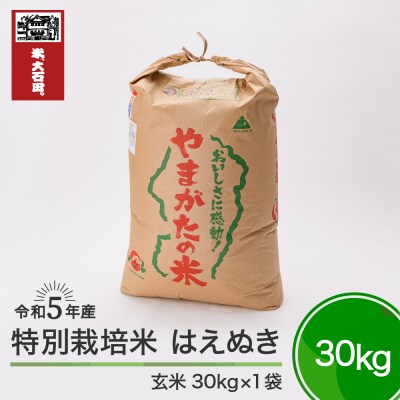 はえぬき30kg 6年産新米山形県産 特別栽培米特Aランク玄米 はえぬき30kg 6年産新米山形県産 特別栽培米特Aランク玄米