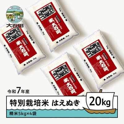【11月下旬発送】新米 米 令和7年産 はえぬき 20kg 山形県大石田町産 特別栽培米 精米