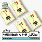 【12月下旬発送】新米 米 令和7年産 つや姫 20kg 山形県大石田町産 特別栽培米 精米