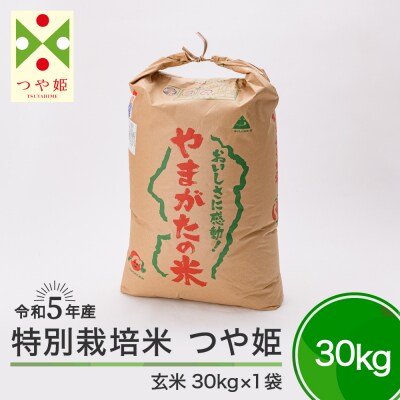 令和5年産 新米 つや姫 30kg 山形県大石田町産 特別栽培米 玄米