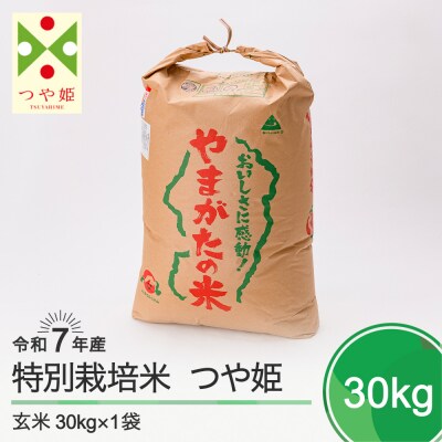 新米 米 つや姫 30kg 令和7年産 【2025年11月上旬発送】山形県産 特別栽培米 玄米