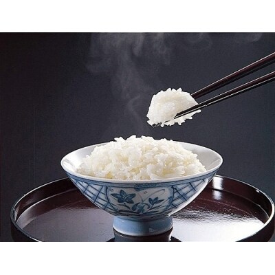 新米 米 つや姫 30kg 令和7年産 【2025年11月上旬発送】山形県産 特別栽培米 玄米