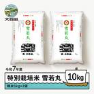 【11月下旬発送】新米 米 令和7年産 雪若丸 10kg 山形県大石田町産 特別栽培米 精米