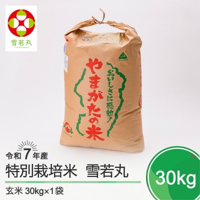 新米 米 雪若丸 30kg 令和7年産 【2025年11月上旬発送】山形県産 特別栽培米 玄米